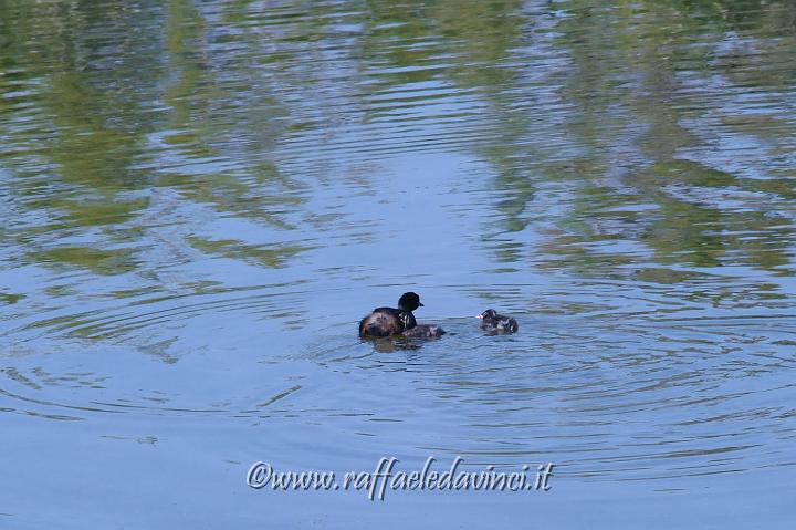 11.5.2011 Saline di Priolo con Antonella (66).jpg